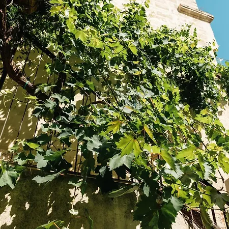 Bed & Breakfast Lupariello Relais 3*